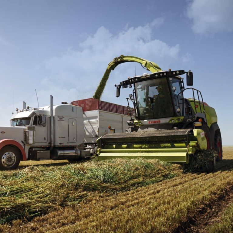 Claas Jaguar 1200 world record 2025 USA