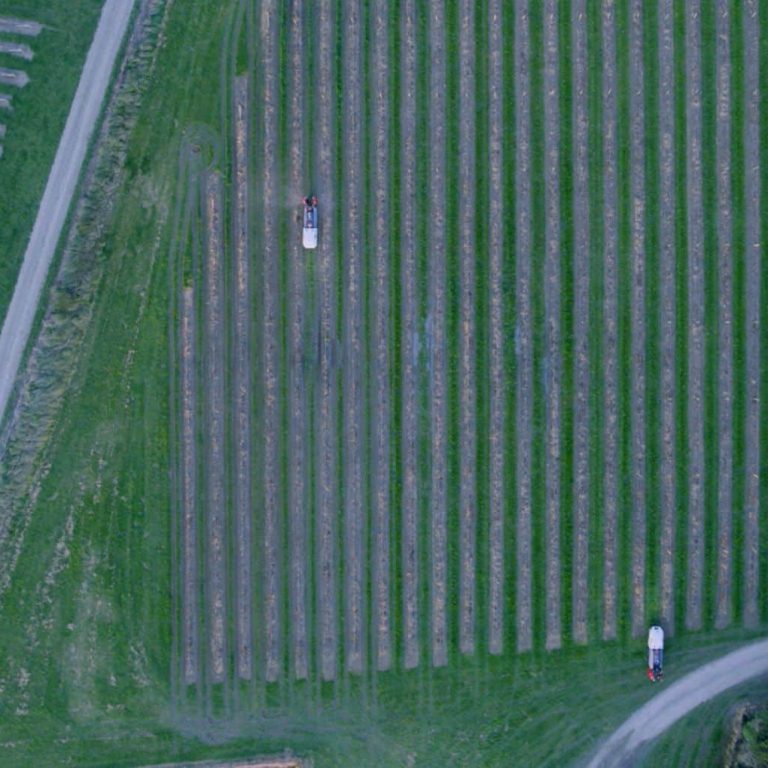 Autonomous weed-control with Prospr