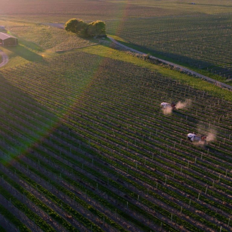 Autonomous weed-control with Prospr