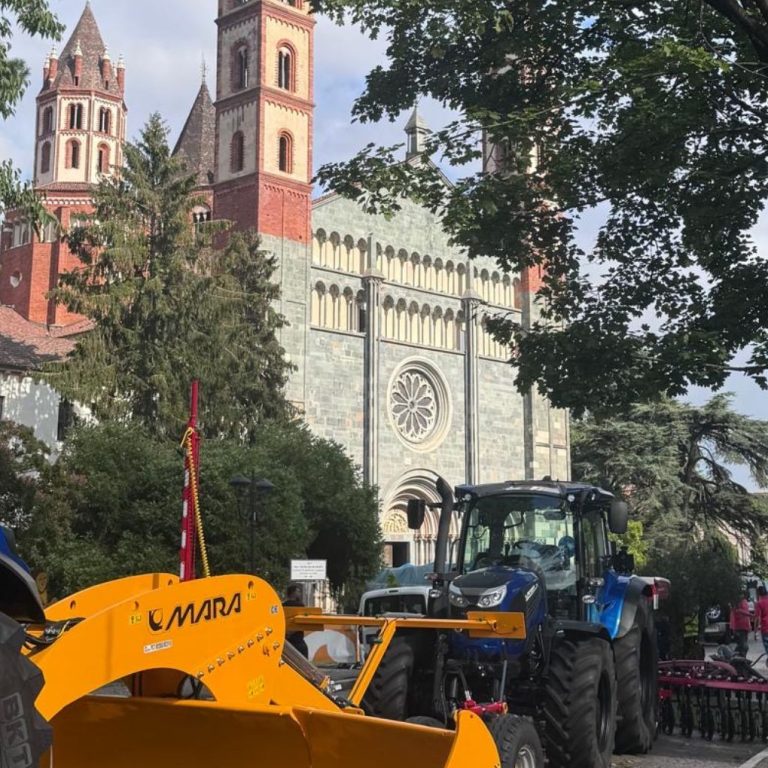 Riso international rice festival , Vercelli, Italy