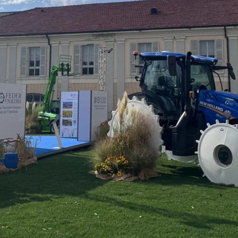 Riso international rice festival , Vercelli, Italy