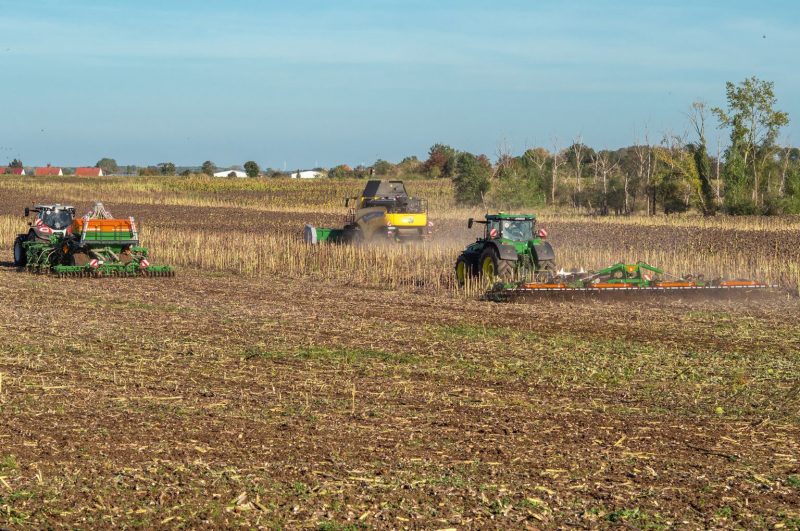 Amazone Cut 'n' Sow