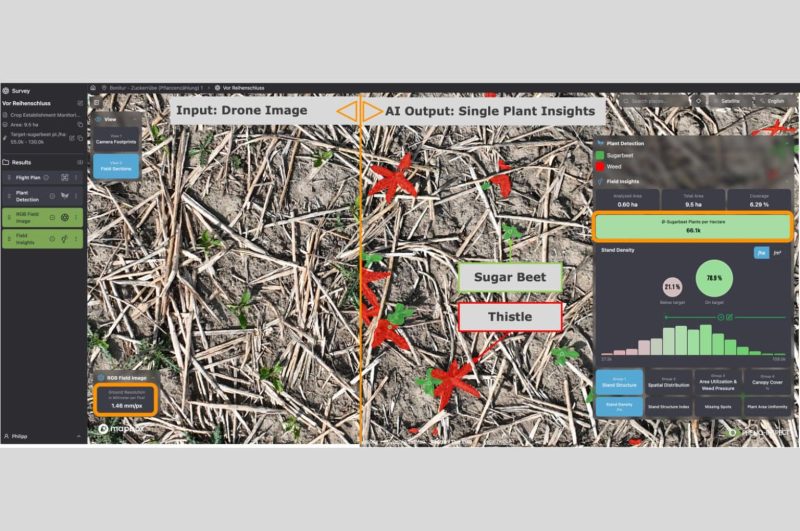 The Pheno-Inspect FarmAnalyzer platform transforms high-resolution drone images into precise agronomic data, automatically distinguishing between crops and weeds to determine stand density.