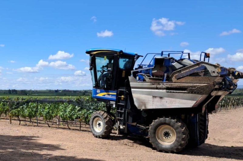 New Holland Braud harvester at Catena Zapata winery, Argentina