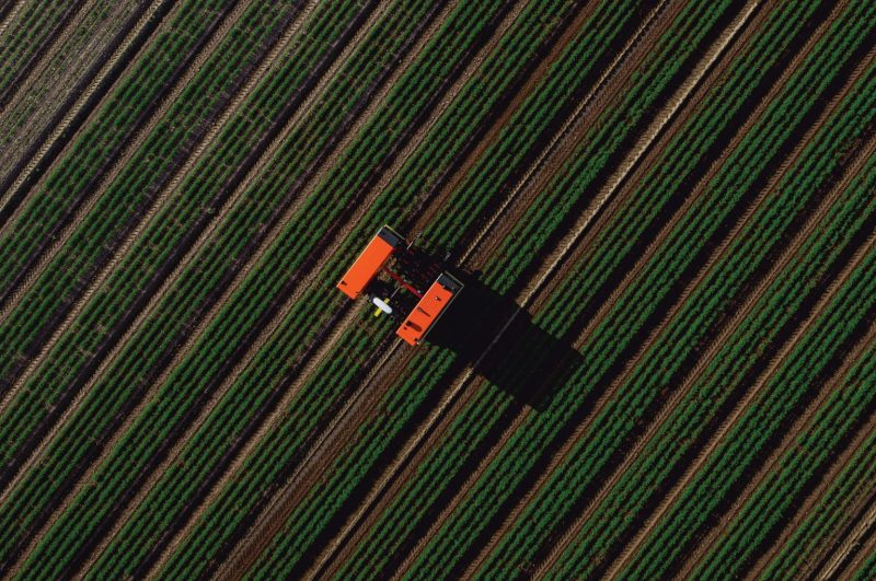 Autonomous Kubota Robotti field robot