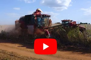 Watch Video